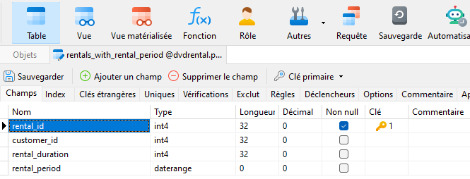 rentals_with_rental_period_in_table_designer (59K)