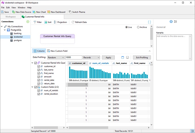 bi_data_profiling (77K)